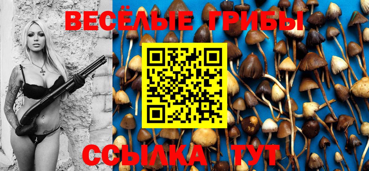 Псилоцибиновые грибы мицелий Сосновоборск