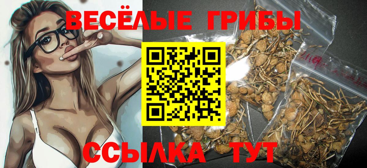 Галлюциногенные грибы Cubensis  Вход с VPN  Сосновоборск 